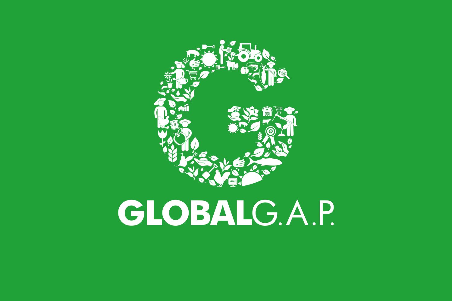 تصميم بدون عنوان